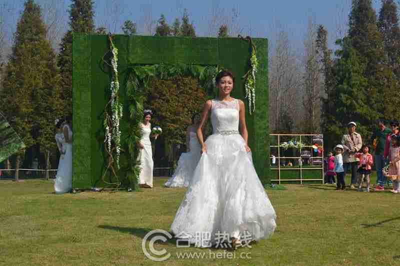 合肥滨湖湿地森林公园可举办浪漫的希腊式户外草坪婚礼 